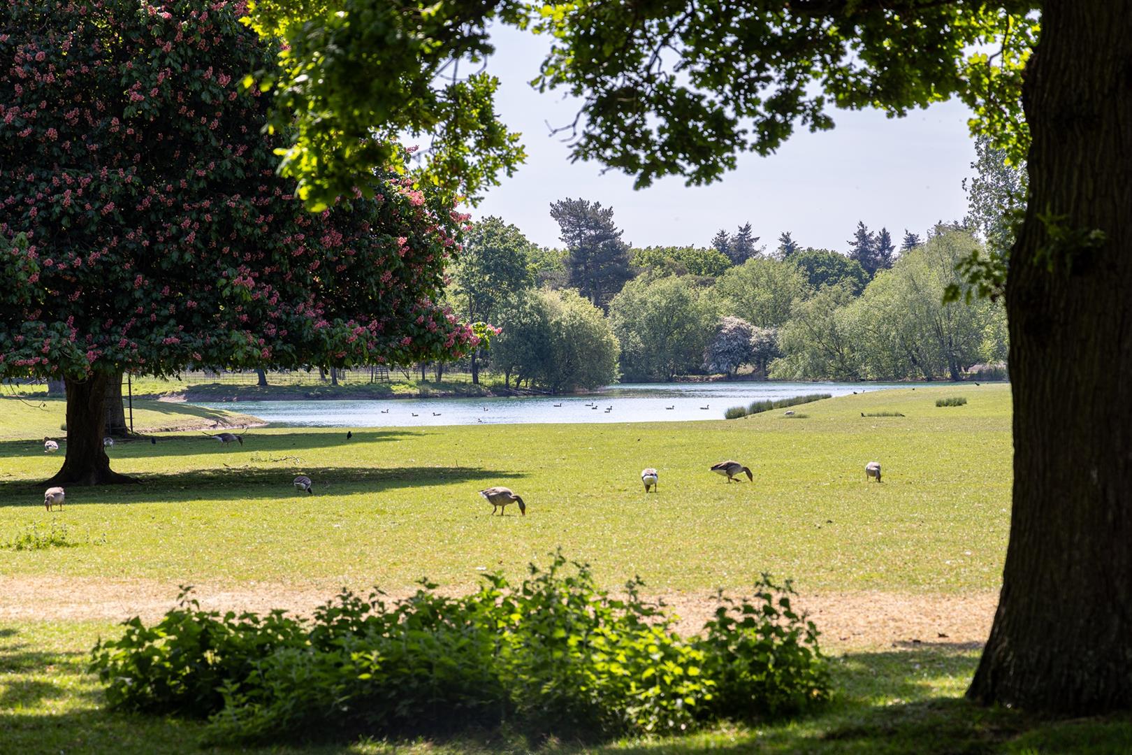 Whitley Park Lane, Reading