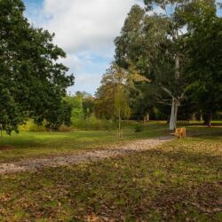 Thumbnail Image 11