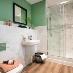 Thumbnail Image 6