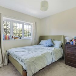 Thumbnail Image 10