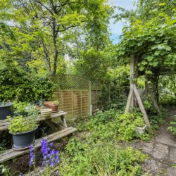 Thumbnail Image 27