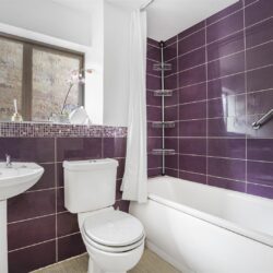 Thumbnail Image 12