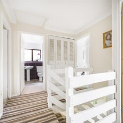 Thumbnail Image 13