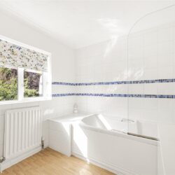 Thumbnail Image 16