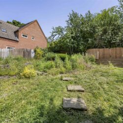Thumbnail Image 24