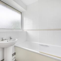 Thumbnail Image 12
