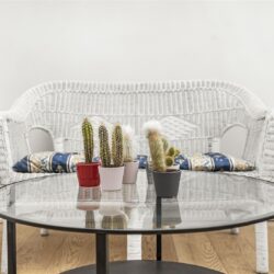 Thumbnail Image 7
