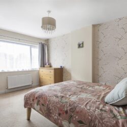 Thumbnail Image 14
