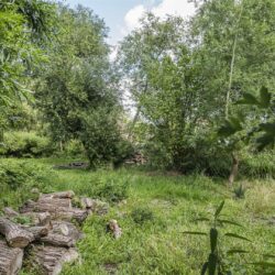 Thumbnail Image 22