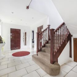 Thumbnail Image 6