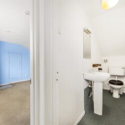 Thumbnail Image 13