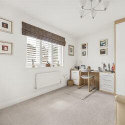 Thumbnail Image 17