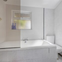 Thumbnail Image 10