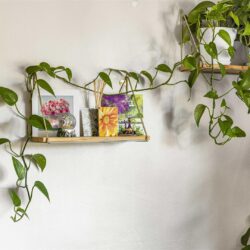 Thumbnail Image 6