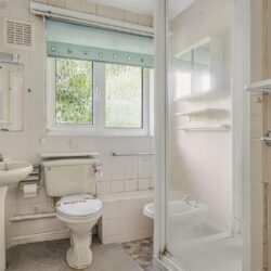 Thumbnail Image 6