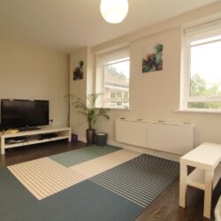 Basingstoke Road, Riseley, RG7