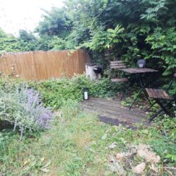 Thumbnail Image 7