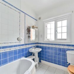 Thumbnail Image 22
