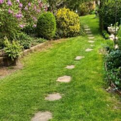 Thumbnail Image 22