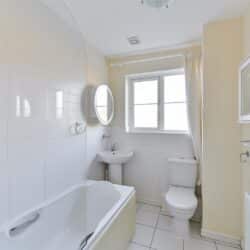 Thumbnail Image 7
