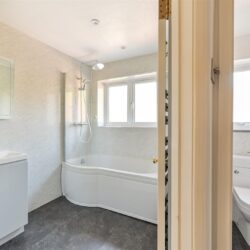 Thumbnail Image 12