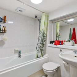 Thumbnail Image 11