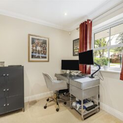 Thumbnail Image 10