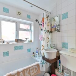 Thumbnail Image 6