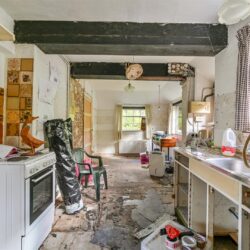 Thumbnail Image 7