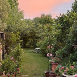 Thumbnail Image 22