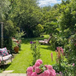 Thumbnail Image 23